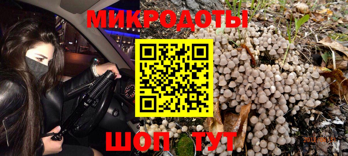 Псилоцибиновые грибы Psilocybe Уссурийск