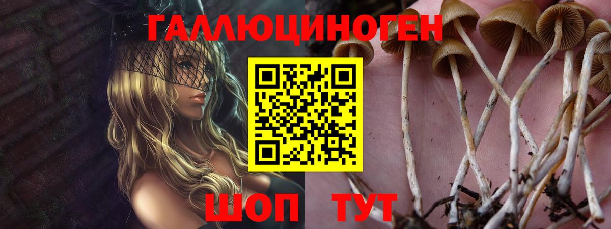 Галлюциногенные грибы Psilocybe  Галлюциногенные грибы GOLDEN TEACHER  Уссурийск  Вход с VPN 